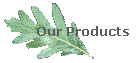 Our Products